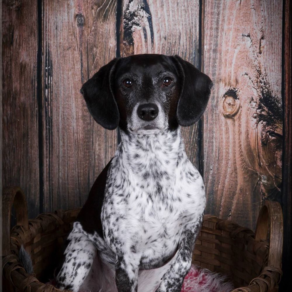 Meet your Posher, Angie